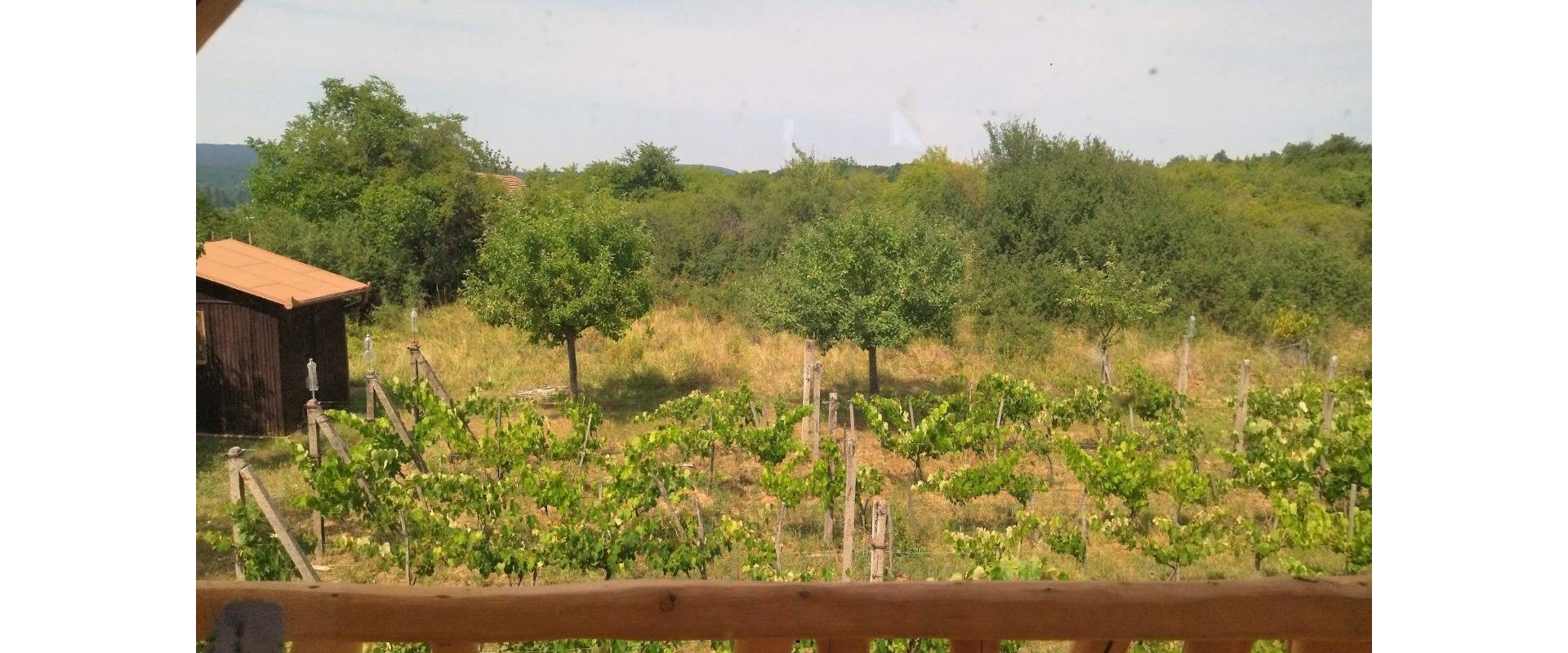 JKV REAL I Ponúkame na predaj zrubovú chatu s pekným pozemok v obci Rybník