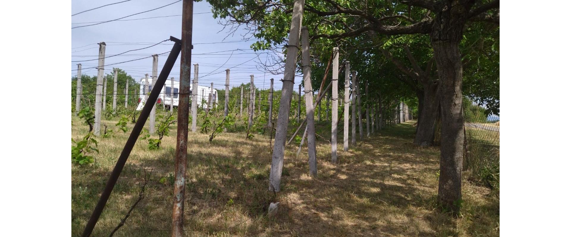 JKV REAL I Ponúkame na predaj zrubovú chatu s pekným pozemok v obci Rybník