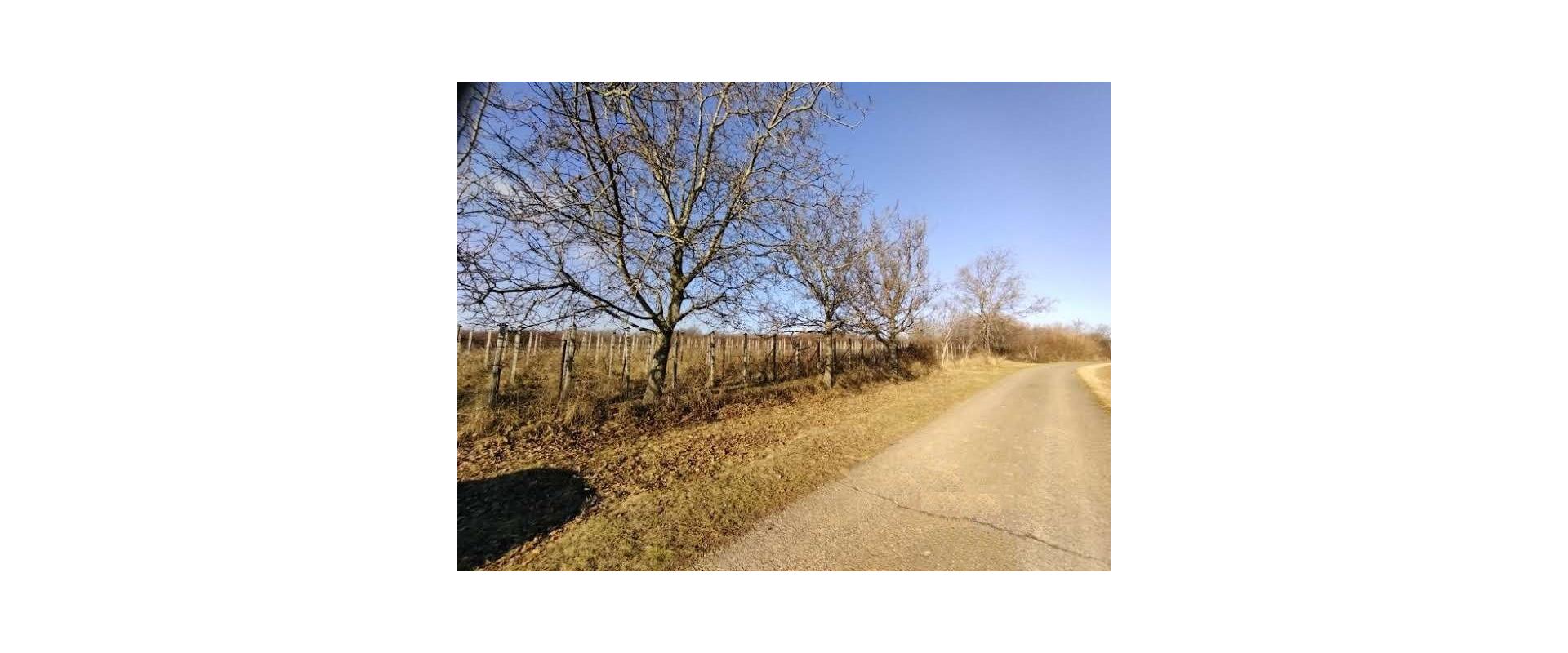 JKV REAL I Ponúkame na predaj zrubovú chatu s pekným pozemok v obci Rybník