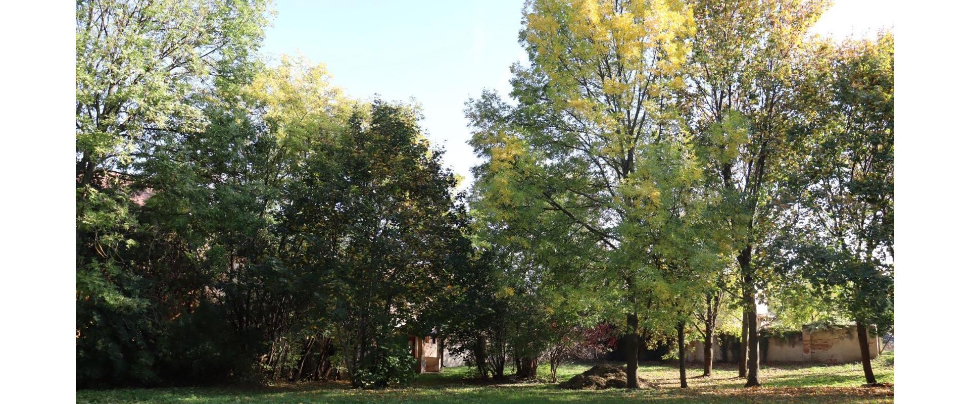 Penzión na predaj v blízkosti kúpeľov Podhájska spoločnosť JKV REAL