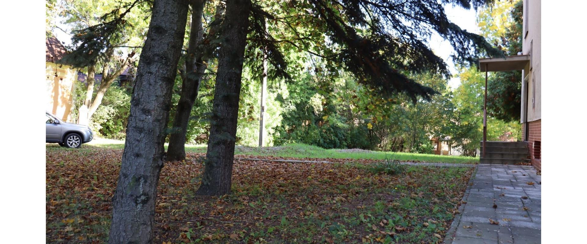 Penzión na predaj v blízkosti kúpeľov Podhájska spoločnosť JKV REAL