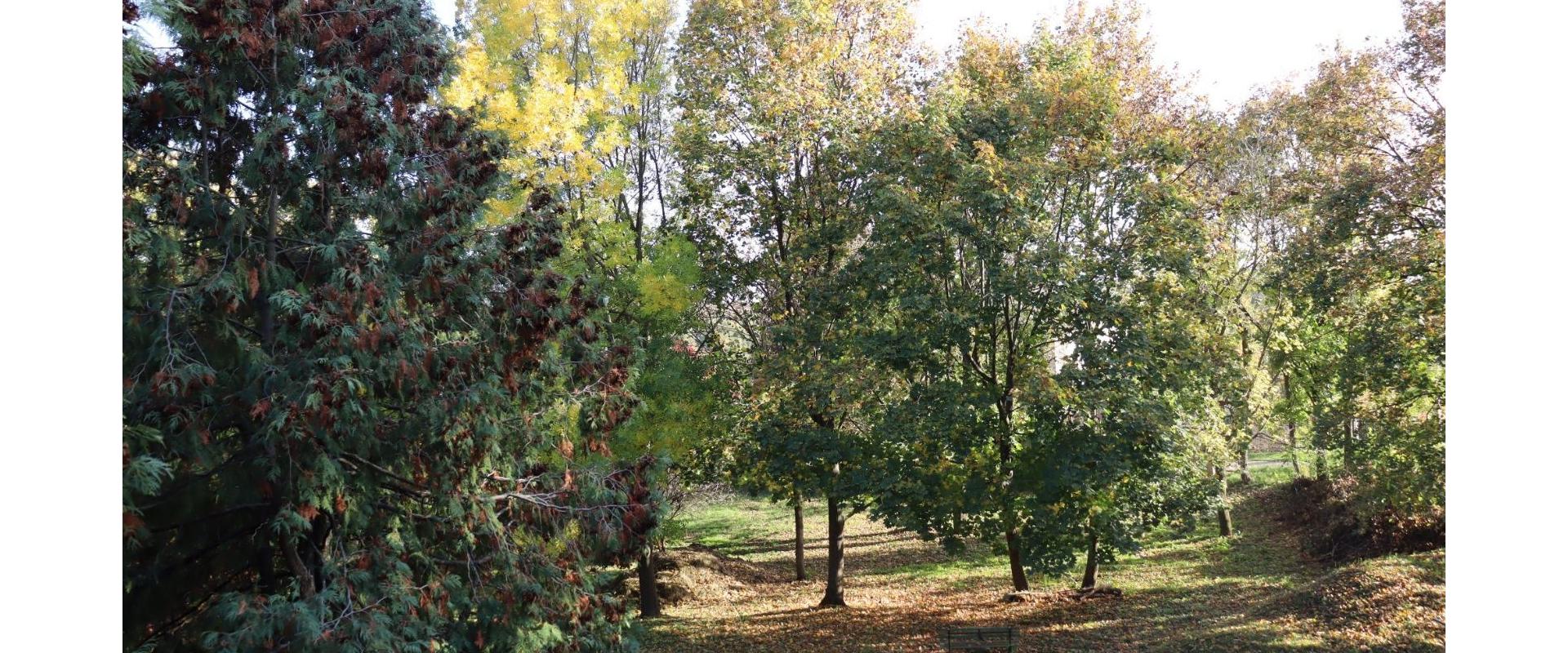 Penzión na predaj v blízkosti kúpeľov Podhájska spoločnosť JKV REAL