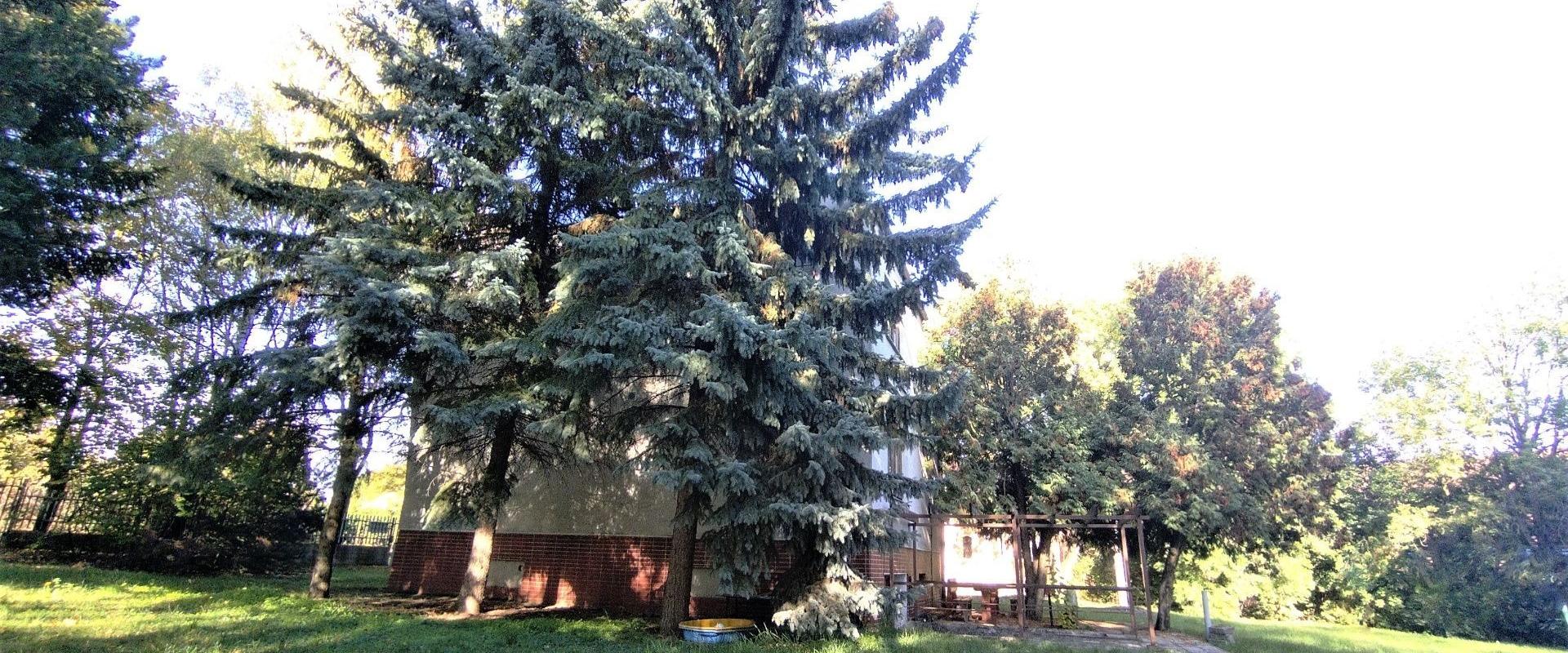 Penzión na predaj v blízkosti kúpeľov Podhájska spoločnosť JKV REAL