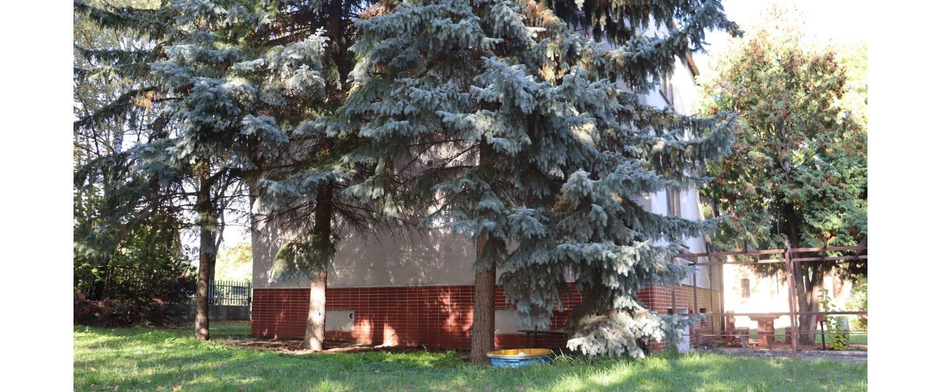 Rodinný dom na predaj v blízkosti kúpeľov Podhájska obec Trávnica spoločnosť JKV REAL