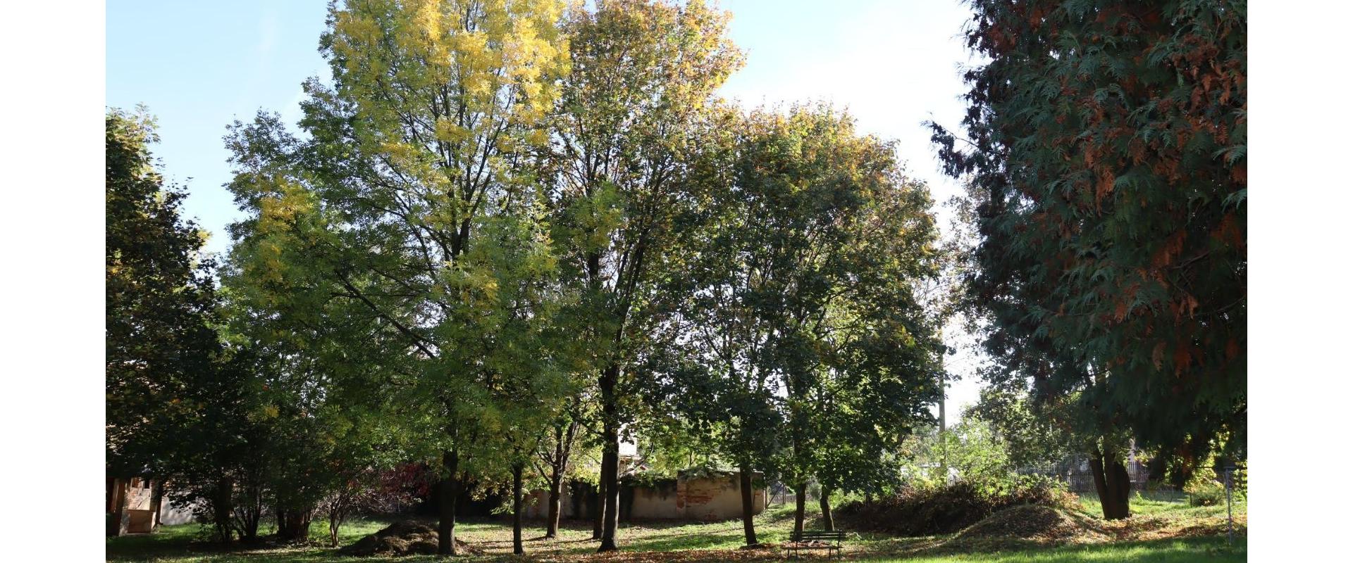 Rodinný dom na predaj v blízkosti kúpeľov Podhájska obec Trávnica spoločnosť JKV REAL