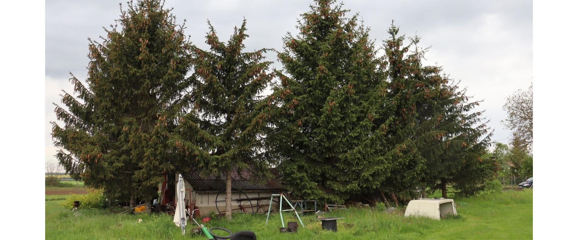 Rodinný dom po rekonštrukcii s rozľahlým pozemkom na predaj v obci Ondrejovce I JKV REAL