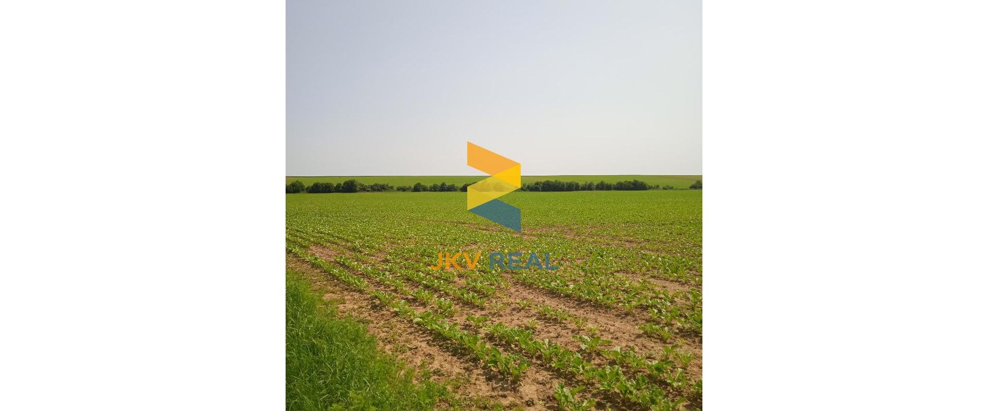 VÝRAZNE ZNÍŽENÁ CENA !!! PREDAJ POZEMKOV V DECHTICIACH