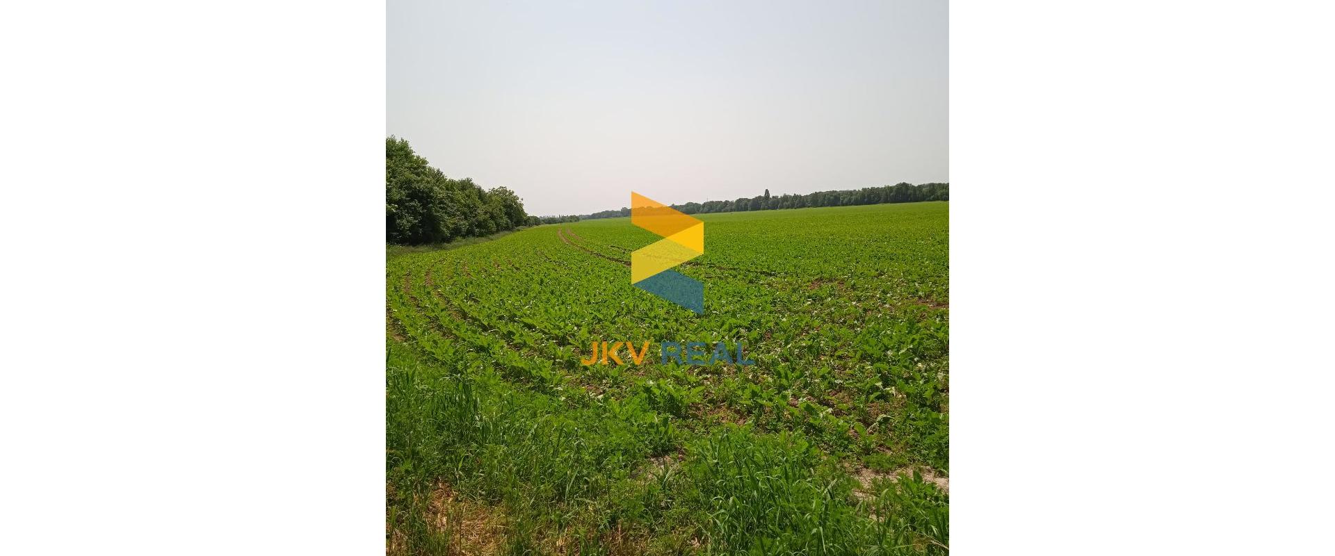 VÝRAZNE ZNÍŽENÁ CENA !!! PREDAJ POZEMKOV V DECHTICIACH