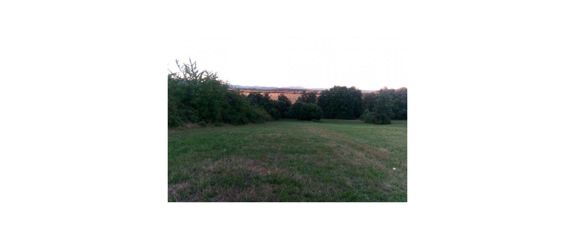 Chata na predaj obklopená zeleňou a pokojom v blízkosti Štiavnických vrchov