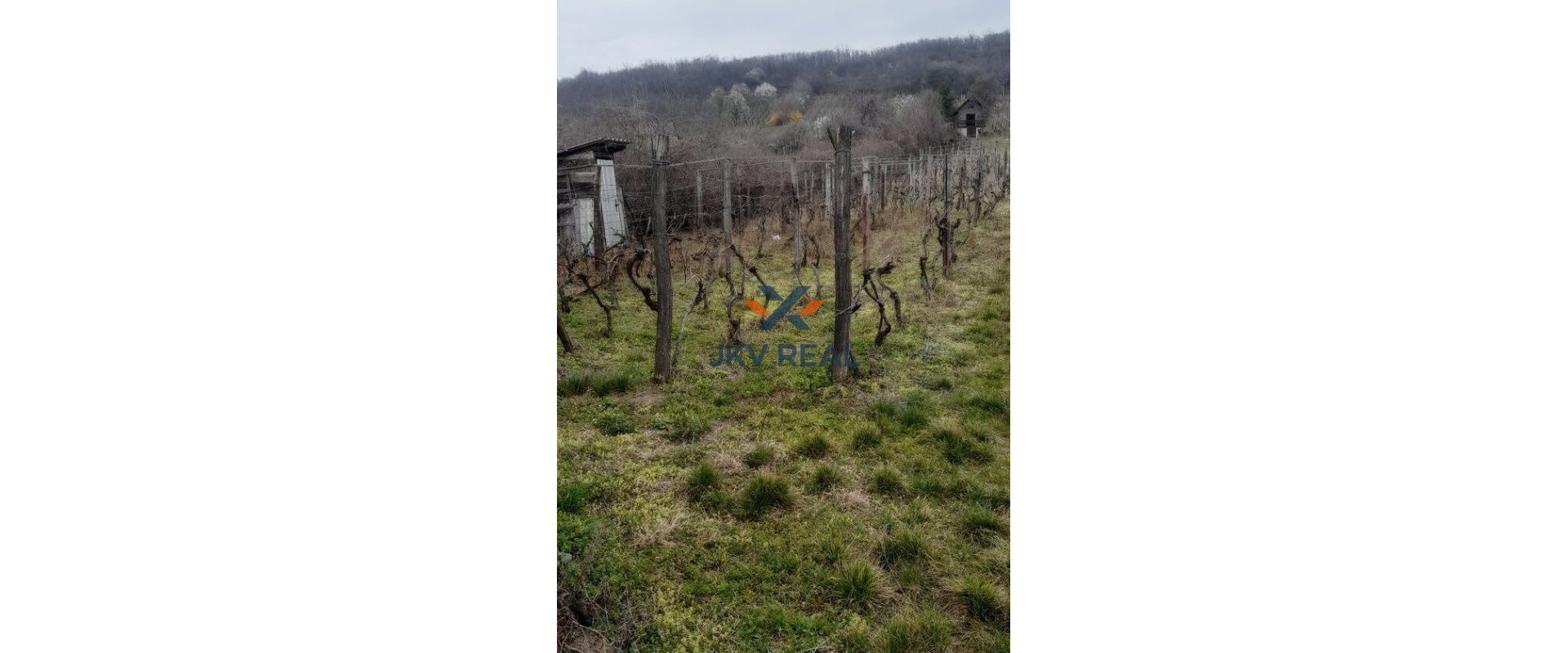 Na predaj viničný domček s vinicou a ornou pôdou