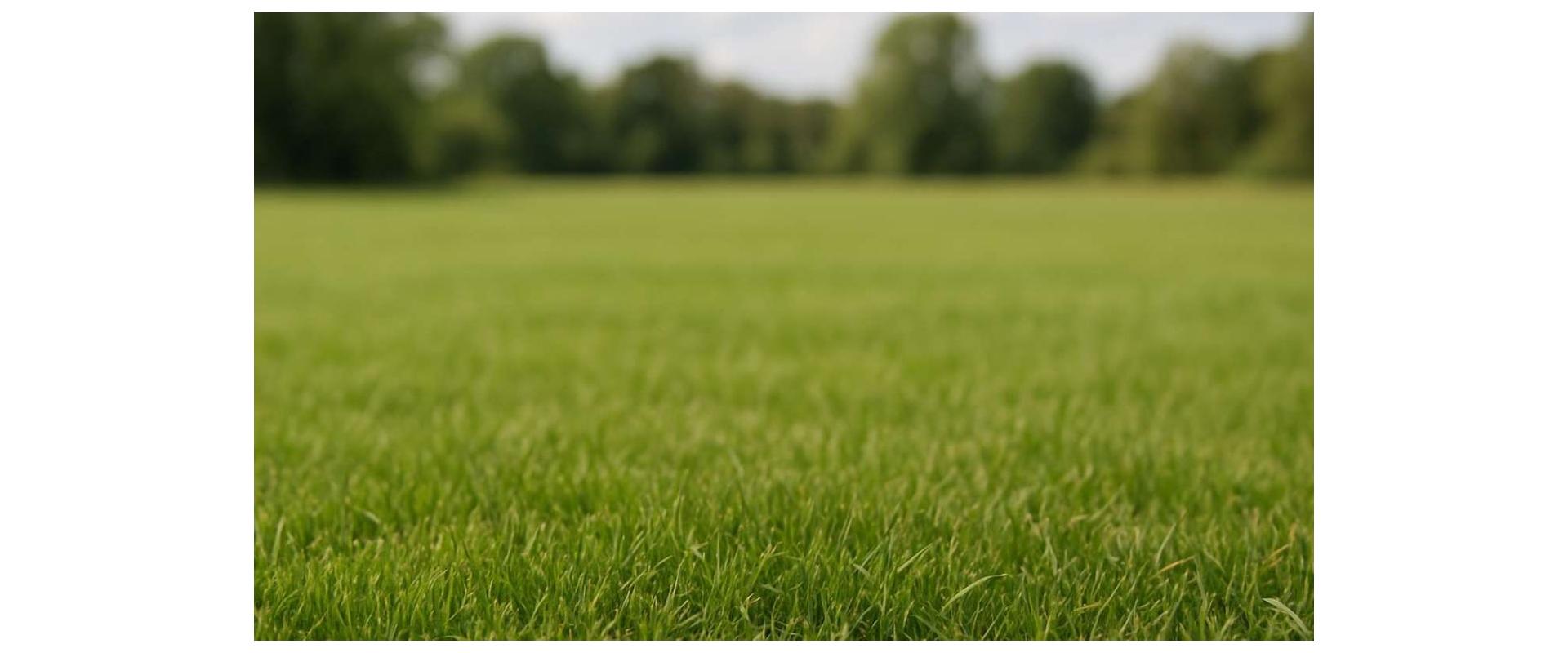 Na predaj krásny slnečný stavebný pozemok na predaj v Štúrove len 500 m od centra mesta.