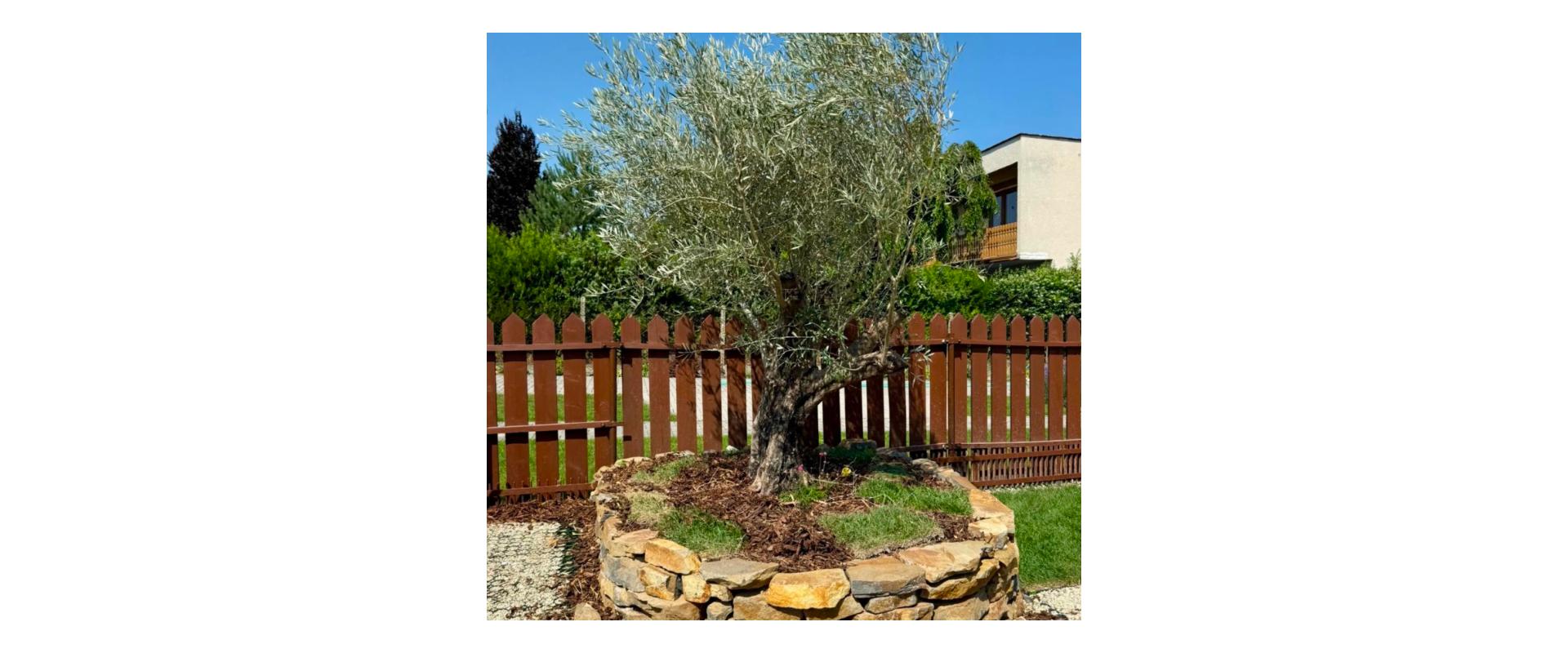 JKVreal ponúka na predaj: Kompletne zrekonštruovaný 5-izbový rodinný dom v Ivanke pri Dunaji | Bernolákovská ulica | Priamo od majiteľa