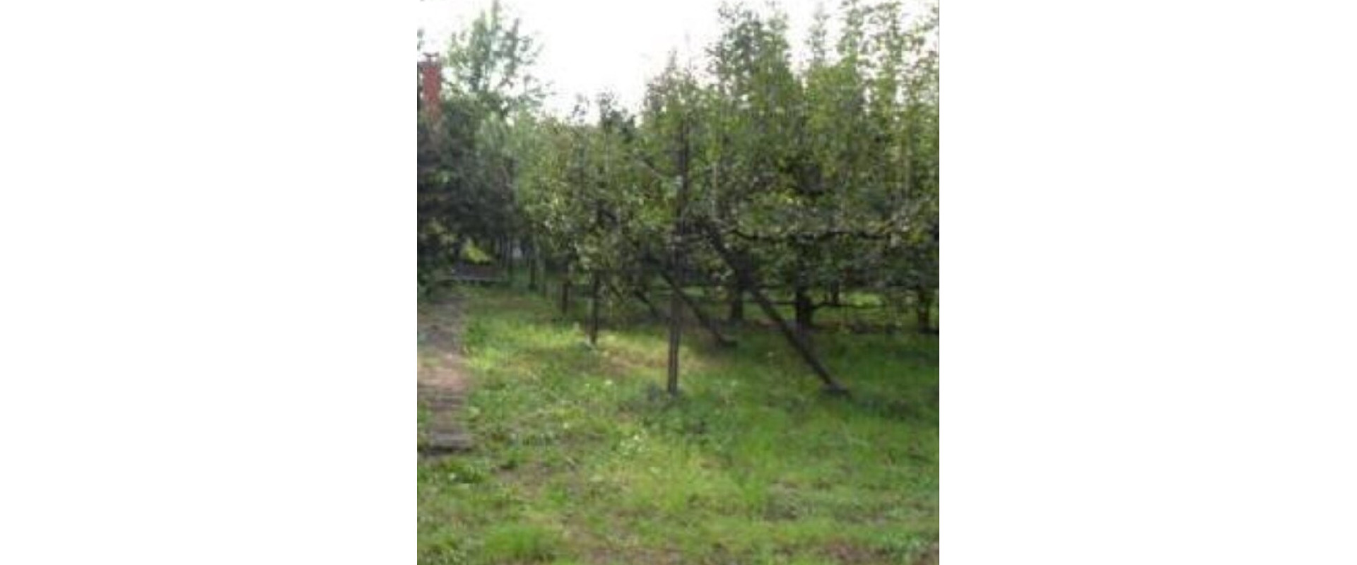 Na predaj pozemok s chatkou, možnosť stavby rodinného domu