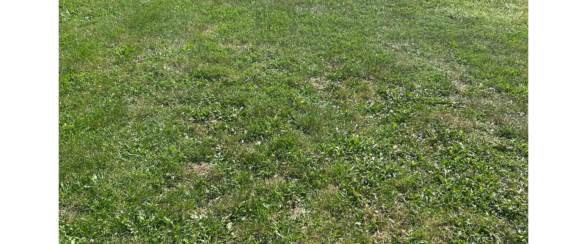 TOP PONUKA : Pozemok na predaj Snina