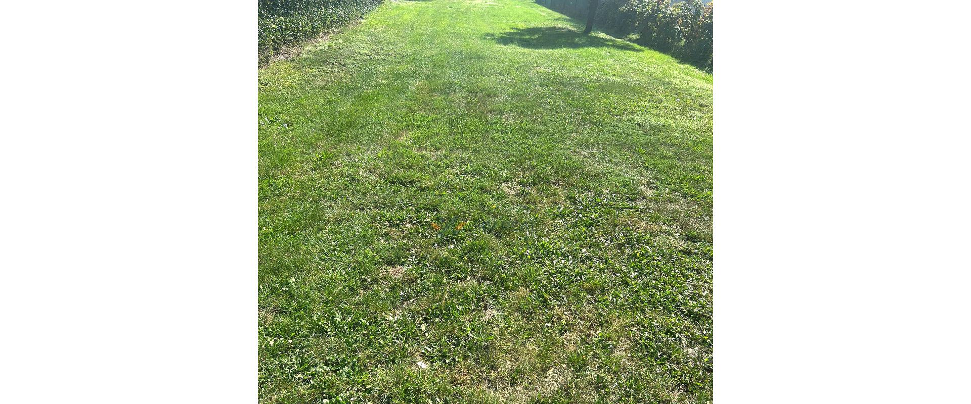 Jedinečná Príležitosť: Stavebný Pozemok s Inžinierskymi Sieťami v Belá nad Cirochou!