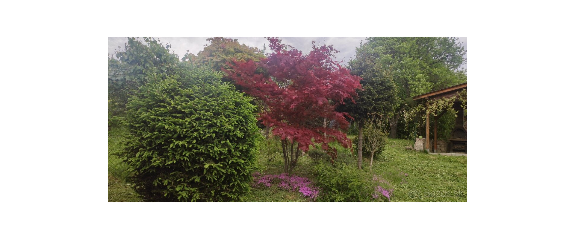 ZÁHRADA S CHATKOU A ALTÁNKOM, 375M2, NIŽNÁ ÚVRAŤ/HERINGEŠ