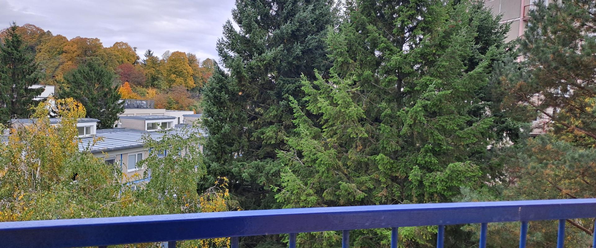 Slnečný, priestranný 3-izbový byt