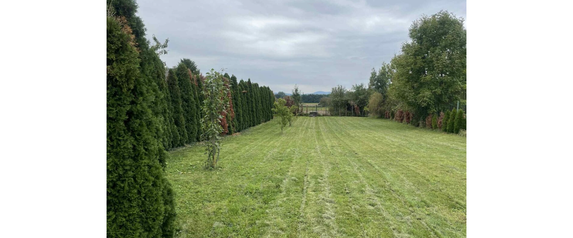 Villa v obci Trstín - s veľkým pozemkom