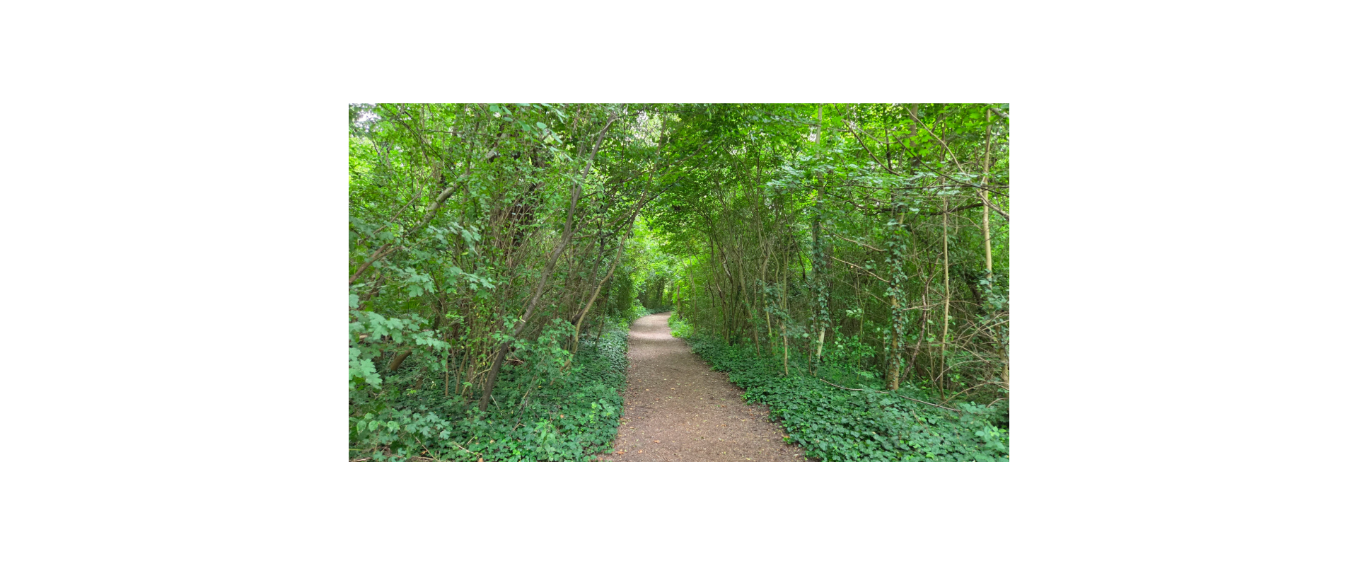 Na predaj 3 izbový byt v Rusovciach na Irkutskej ulici