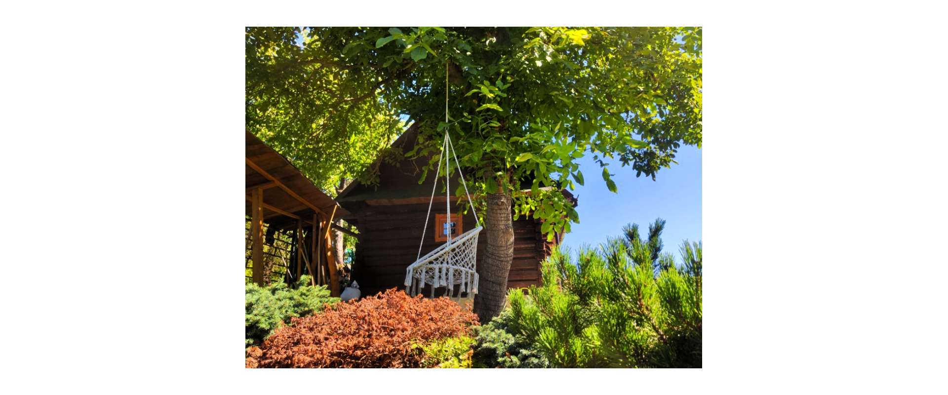 Na predaj drevenica s veľkým pozemkom - 1194 m² a bazénom v obci Miková