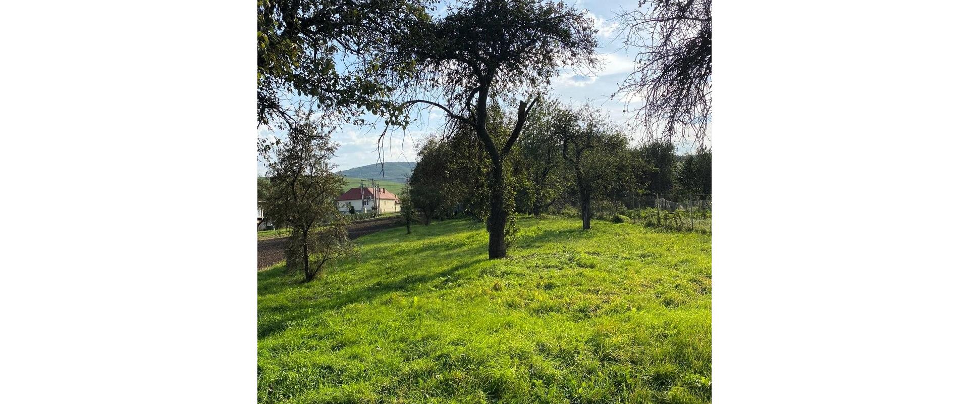 Na predaj stavebný pozemok o výmere 2171 m²  s ovocným sadom – vhodný na výstavbu rodinného domu, chaty.