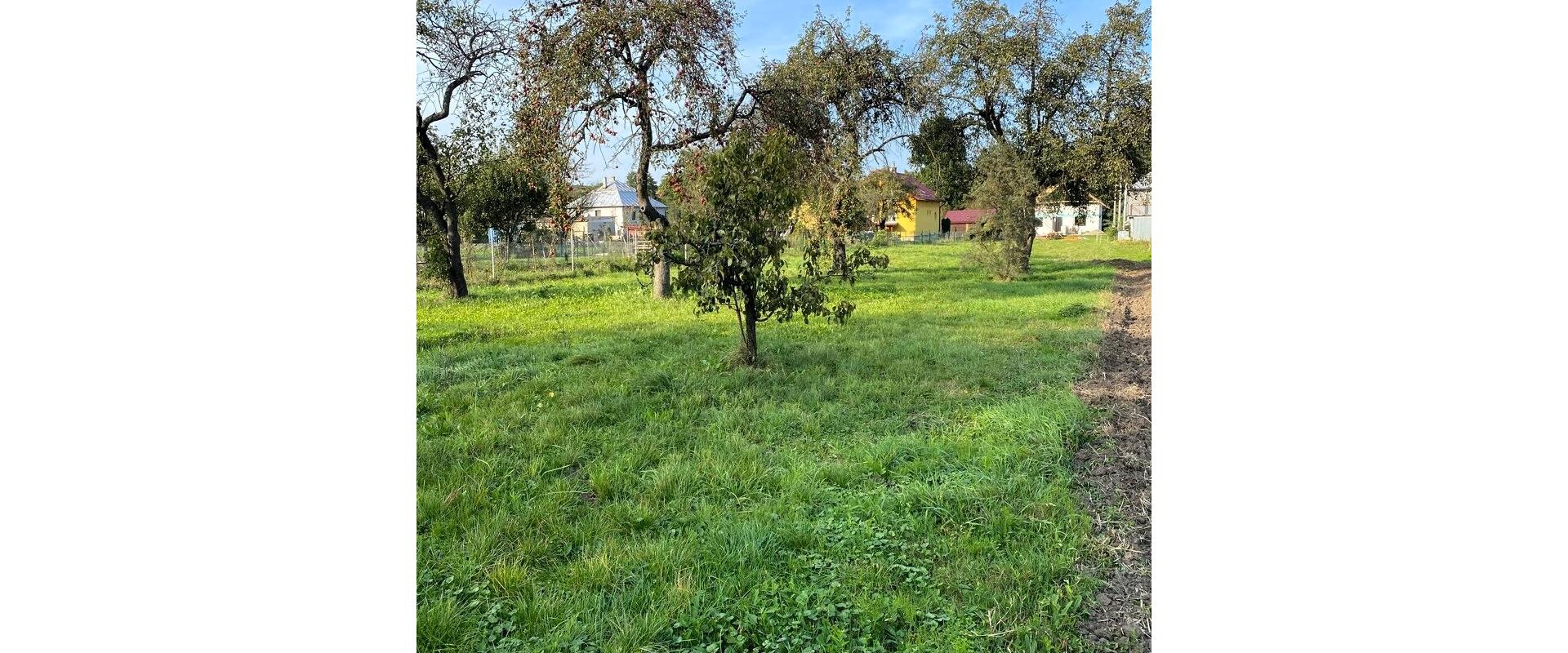 Na predaj stavebný pozemok o výmere 2171 m²  s ovocným sadom – vhodný na výstavbu rodinného domu, chaty.