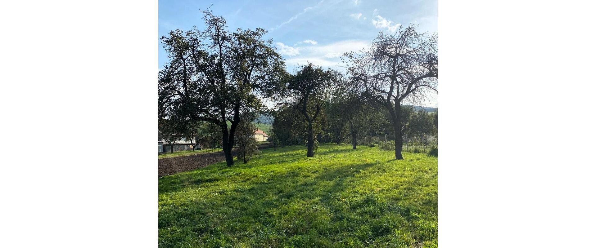 Na predaj stavebný pozemok o výmere 2171 m²  s ovocným sadom – vhodný na výstavbu rodinného domu, chaty.
