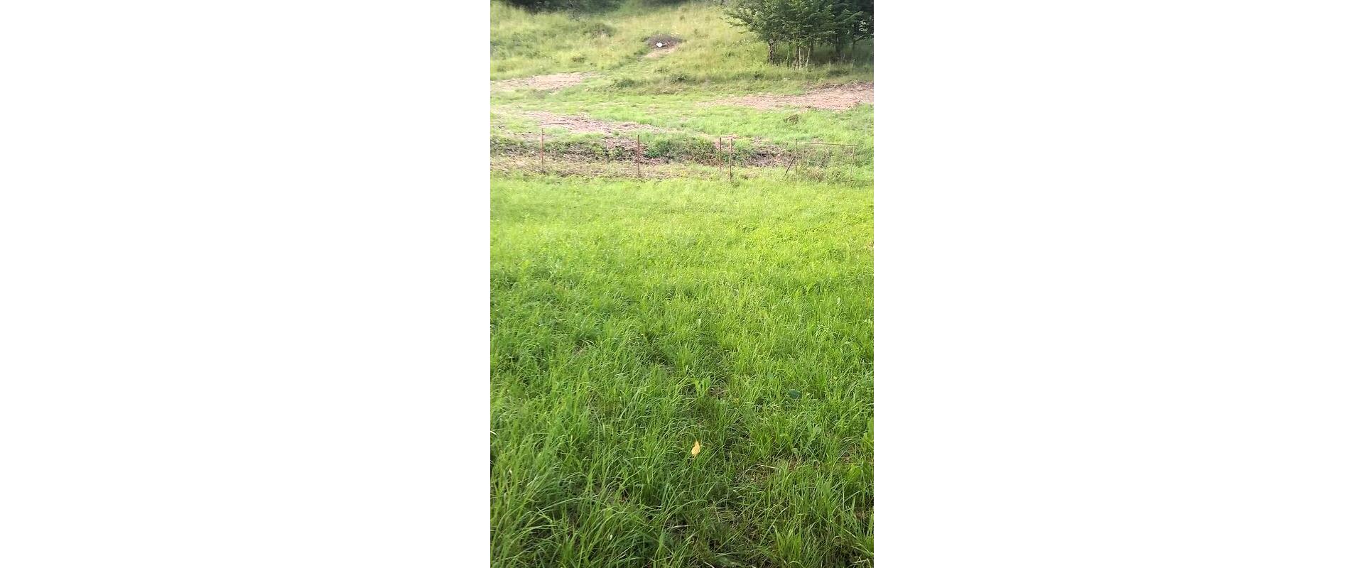 Na predaj stavebné pozemky - 7 500 m² v obci Zubné,