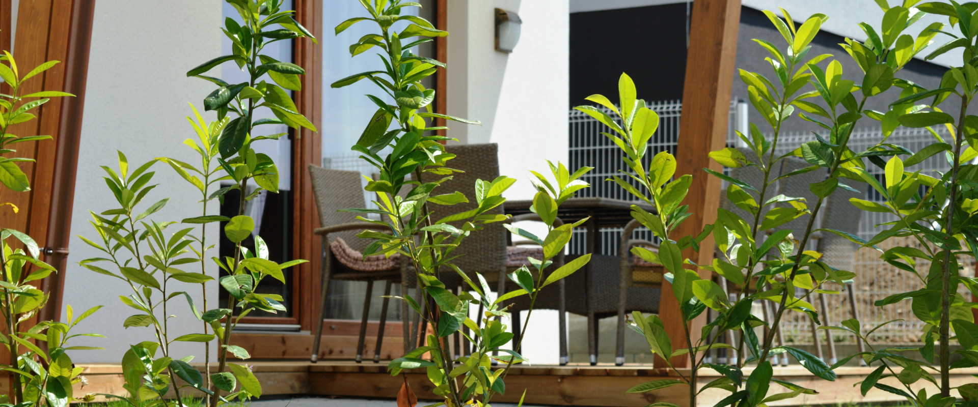 POSLEDNÝ VOĽNÝ DOM - Rodinný dom na prenájom v Porube