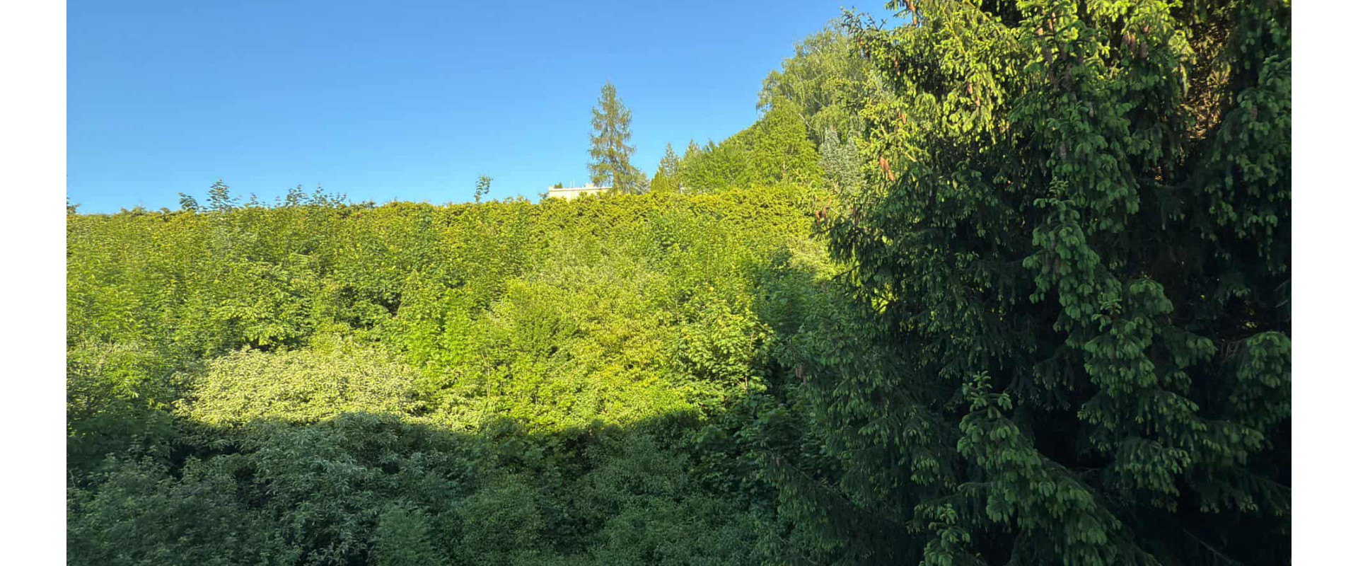 Na predaj krásny 3 izbový byt v Trenčianskych Tepliciach