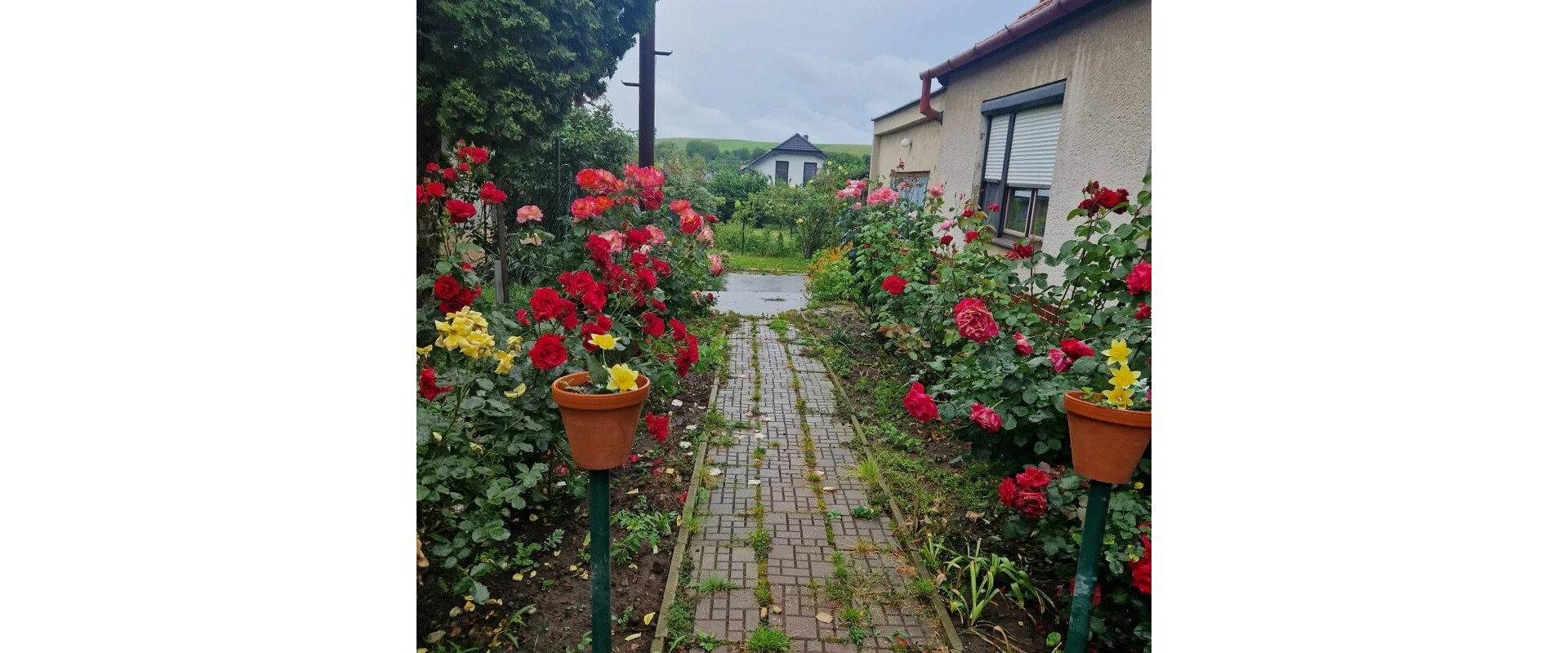 Na predaj 3,5 izbový rodinný dom Veľké Zálužie.