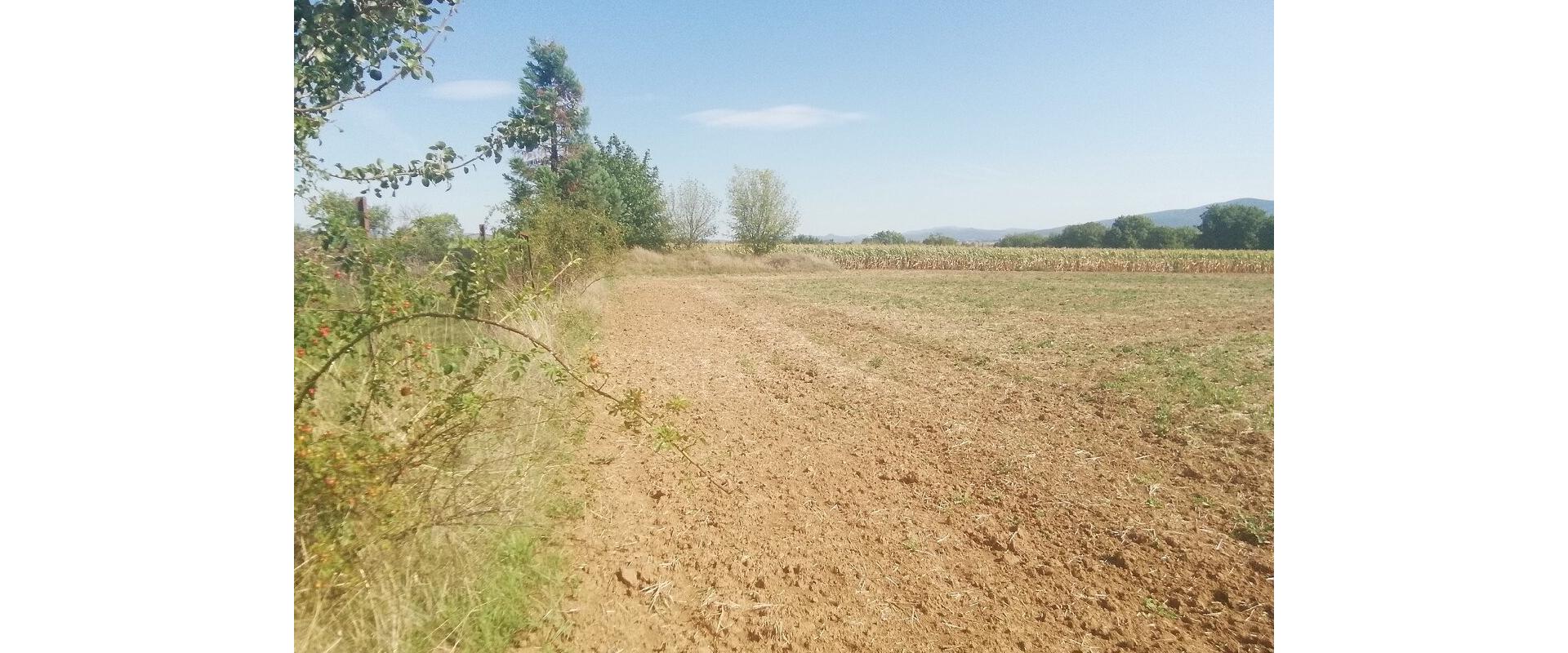 Stavebný pozemok Tesárske Mlyňany 9800m2 v intraviláne obce