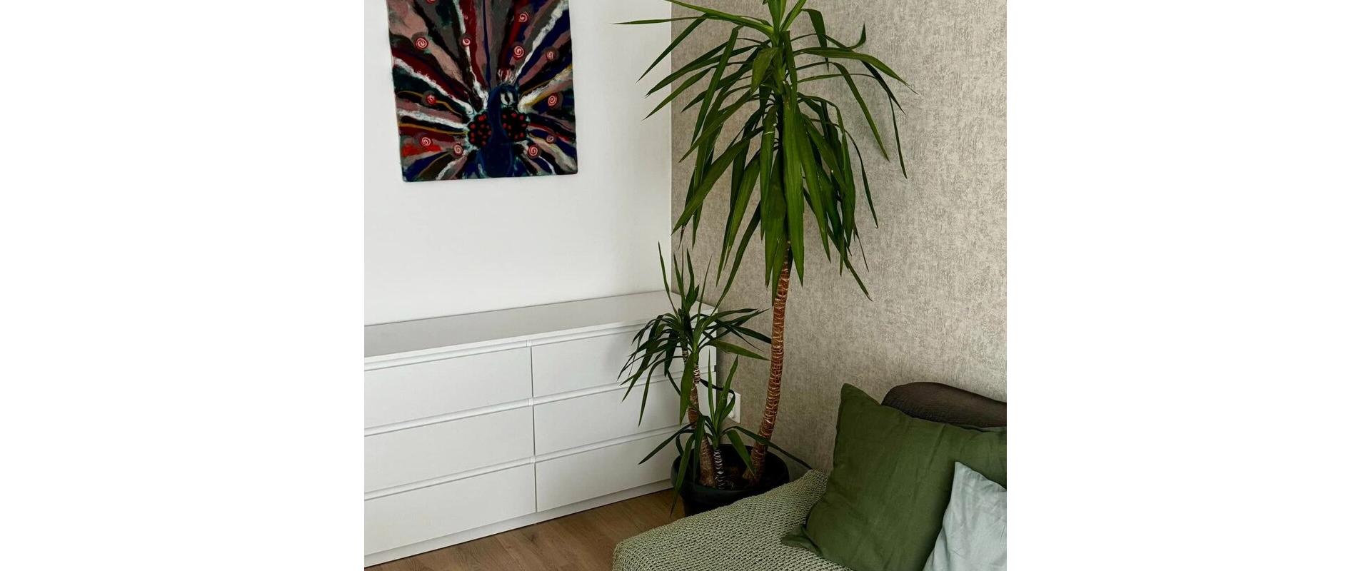 Na prenájom 2-izbovy krásny byt s rezidenčným parkovaním