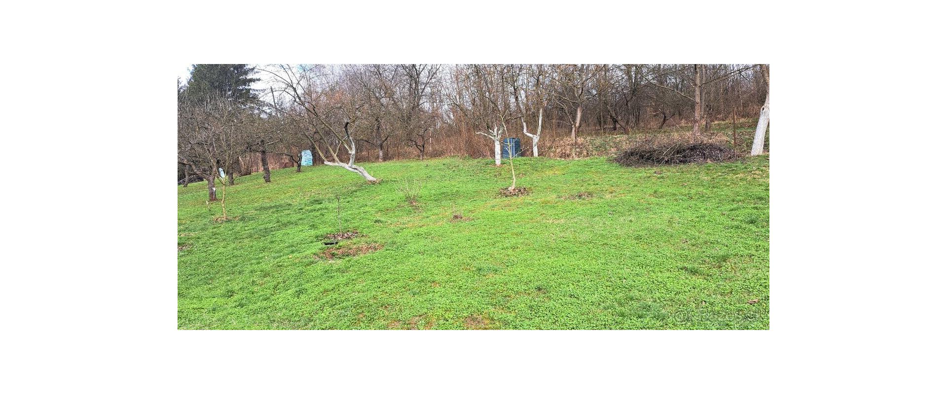 Na predaj stavebný pozemok o rozlohe - 4587 m² vo Vranove n./T.