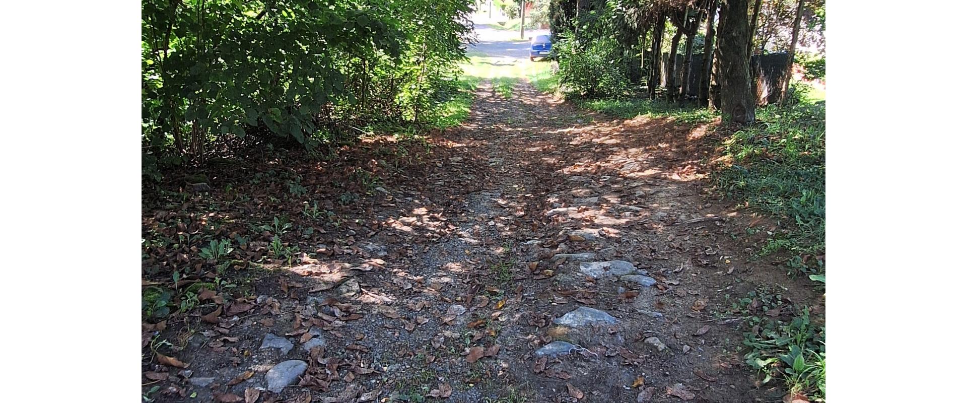 Na predaj stavebný pozemok o rozlohe - 4587 m² vo Vranove n./T.