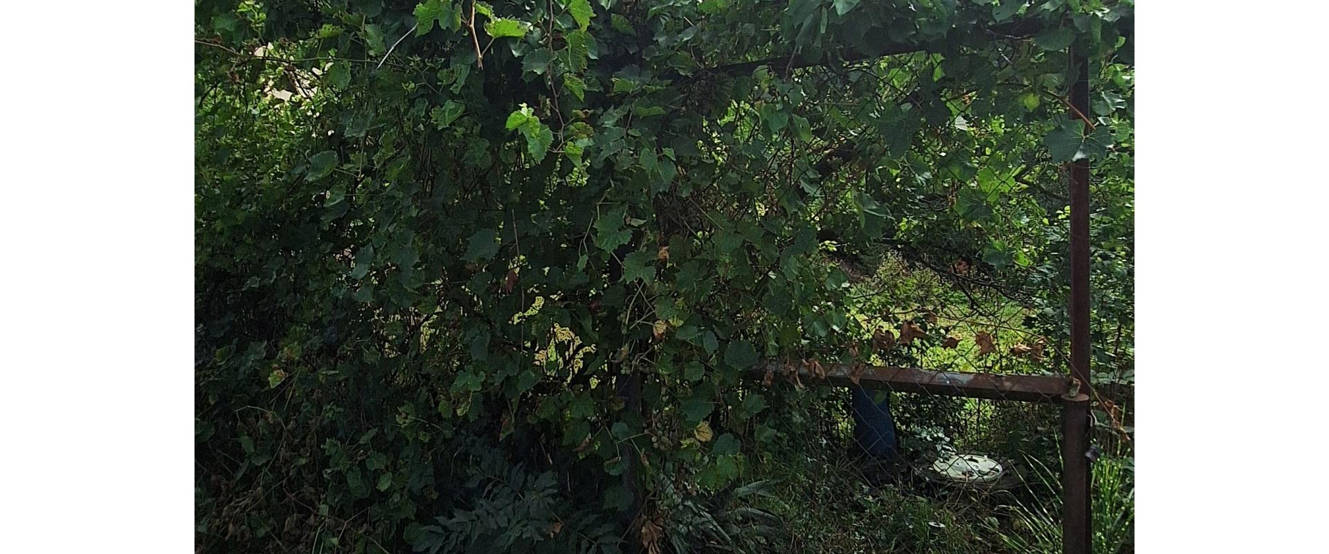 Na predaj stavebný pozemok s rozlohou - 773 m² v meste Humenné.