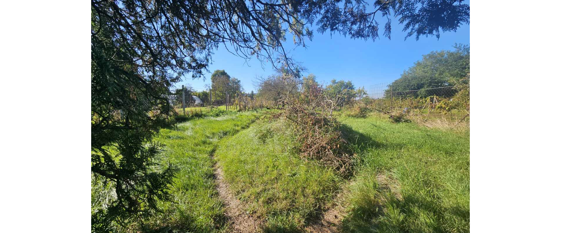 Krásná chalupka s obrovským pozemkom na predaj.