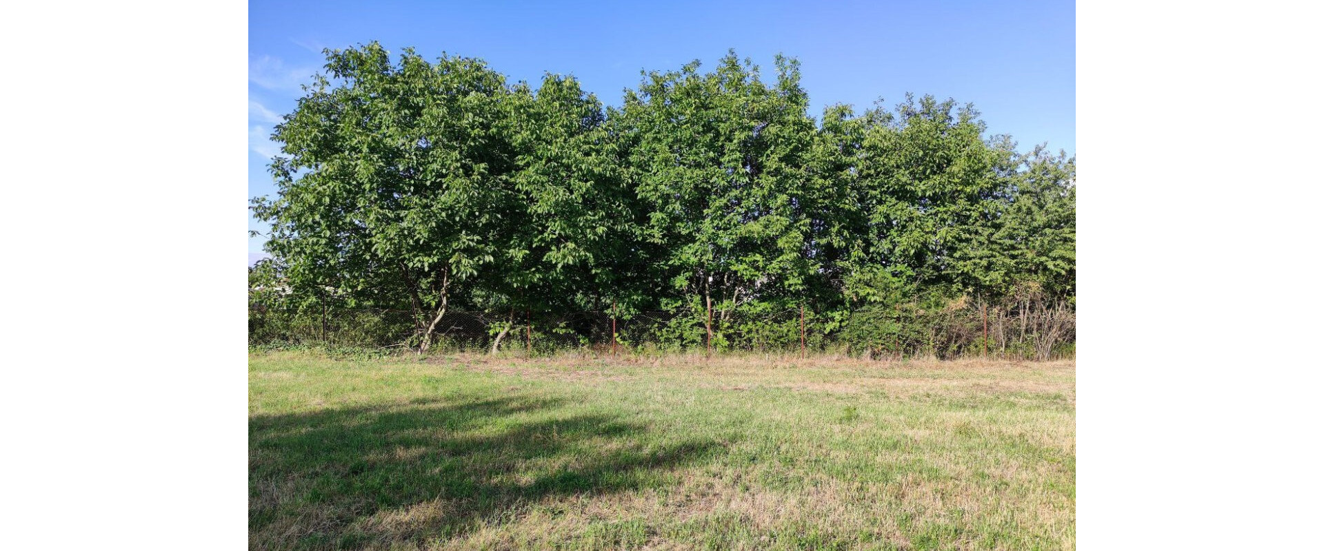 Stavebný pozemok 1270 m2 v centre obce MOJMÍROVCE