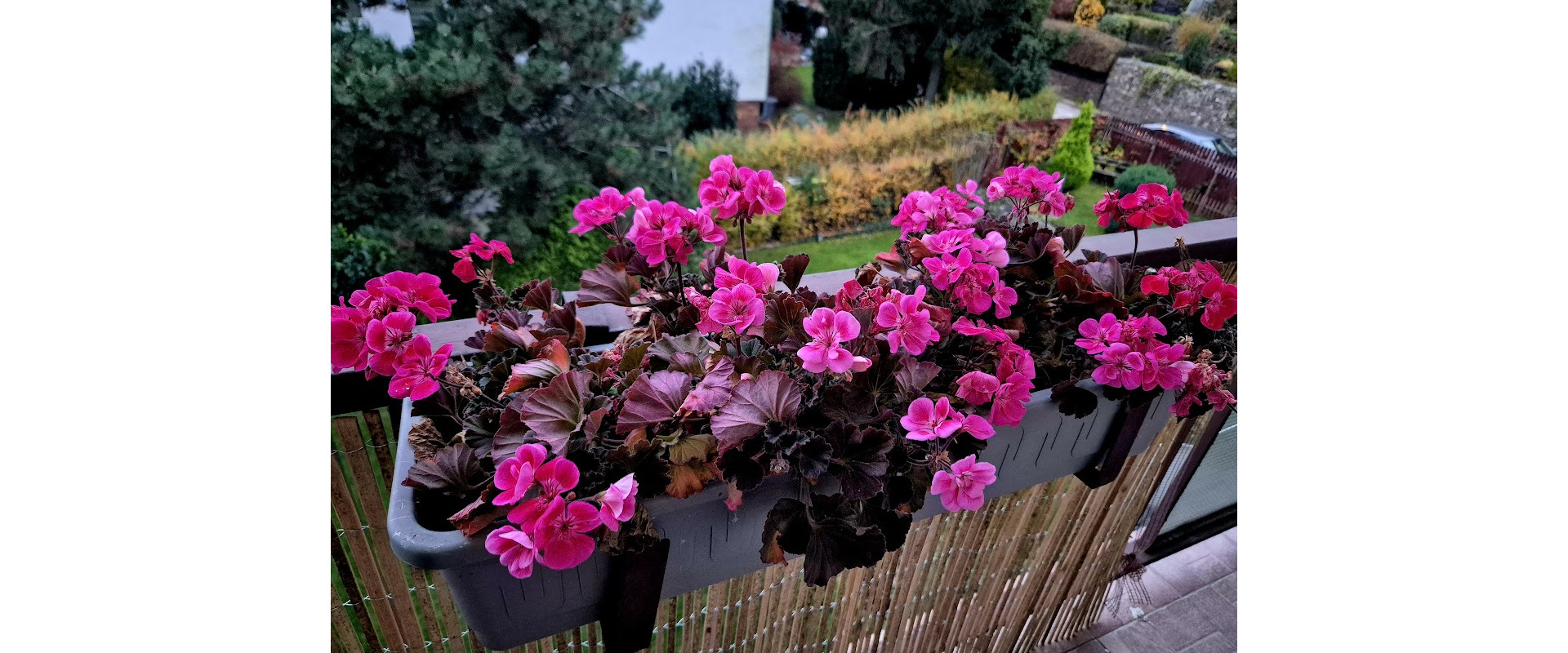 Predám exkluzívny 4 izb.byt,100 m2,loggie 2,záhrada,Podhradová