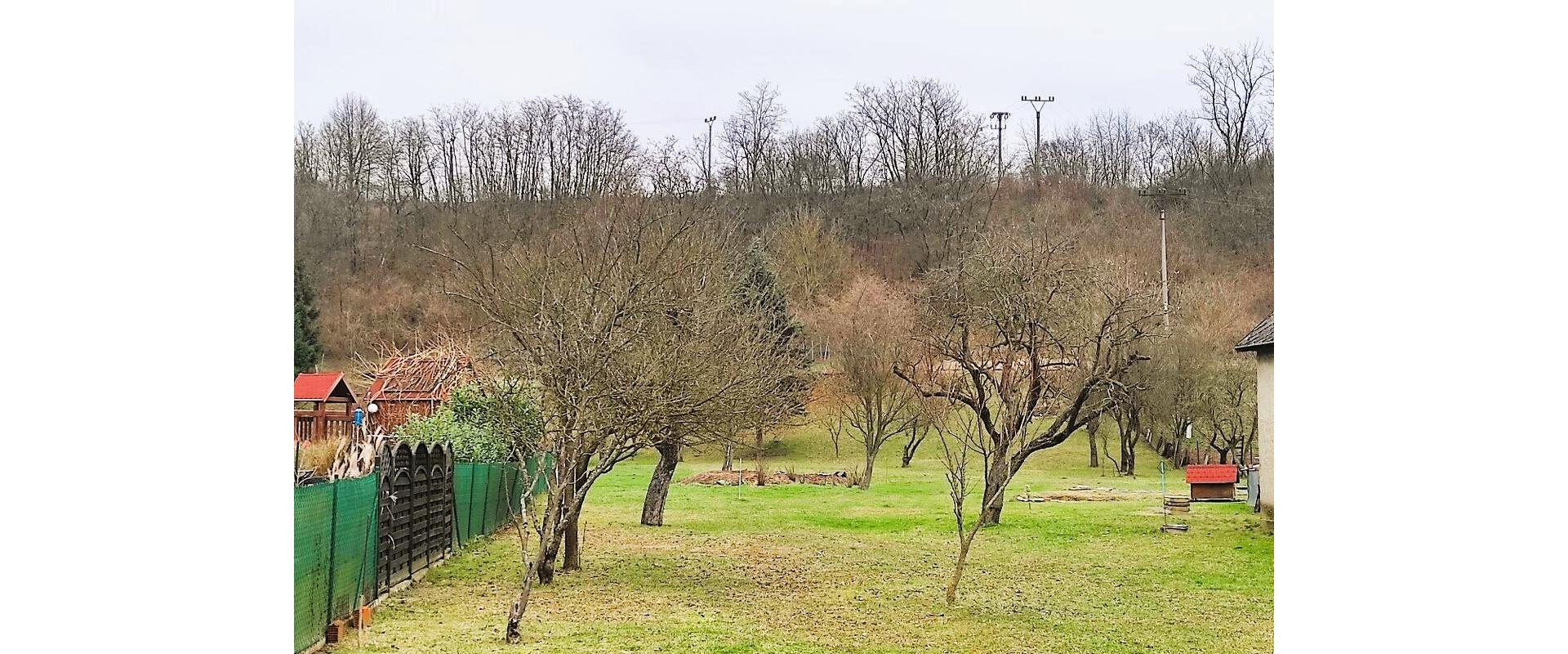 Na predaj rozsiahla záhrada - pozemok o výmere - 1 495 m² v obci Nižná Olšava okres Stropkov.
