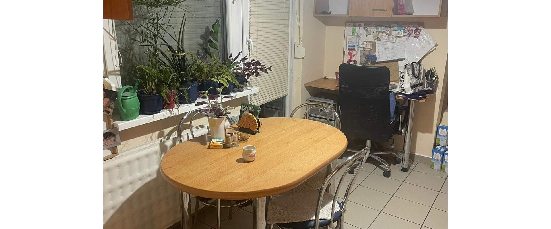 Priestranný 3 izbový byt