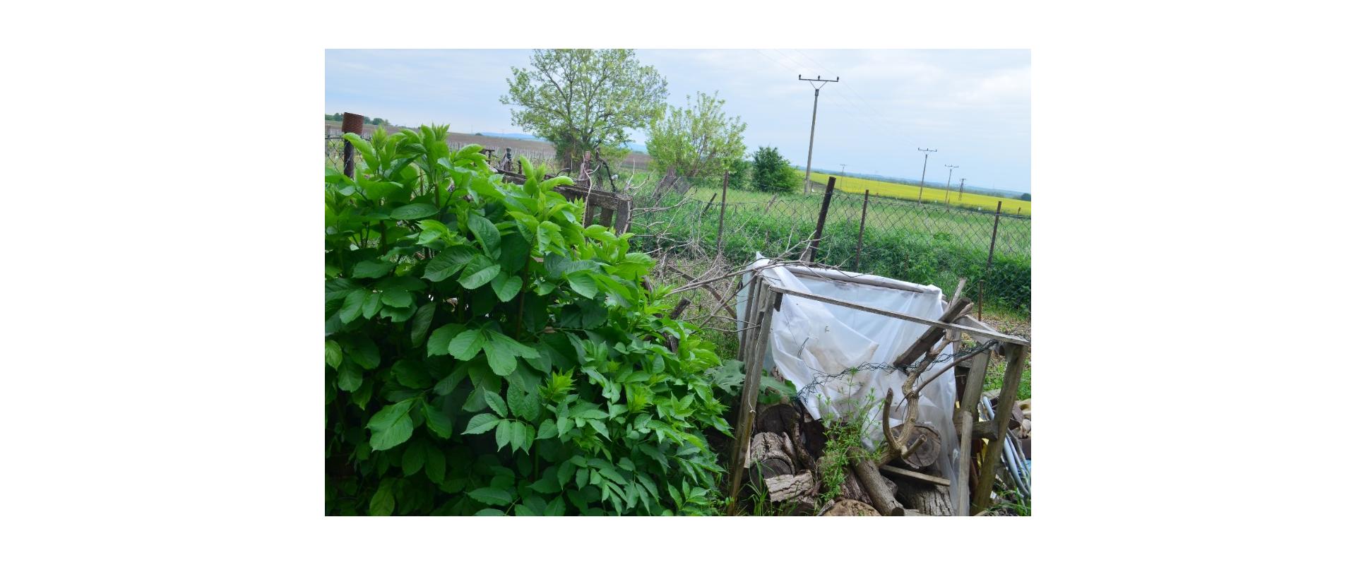 SP Cabaj Čápor, Riegler iba za 36,55€/m2!! Vhodný aj na 2 RD