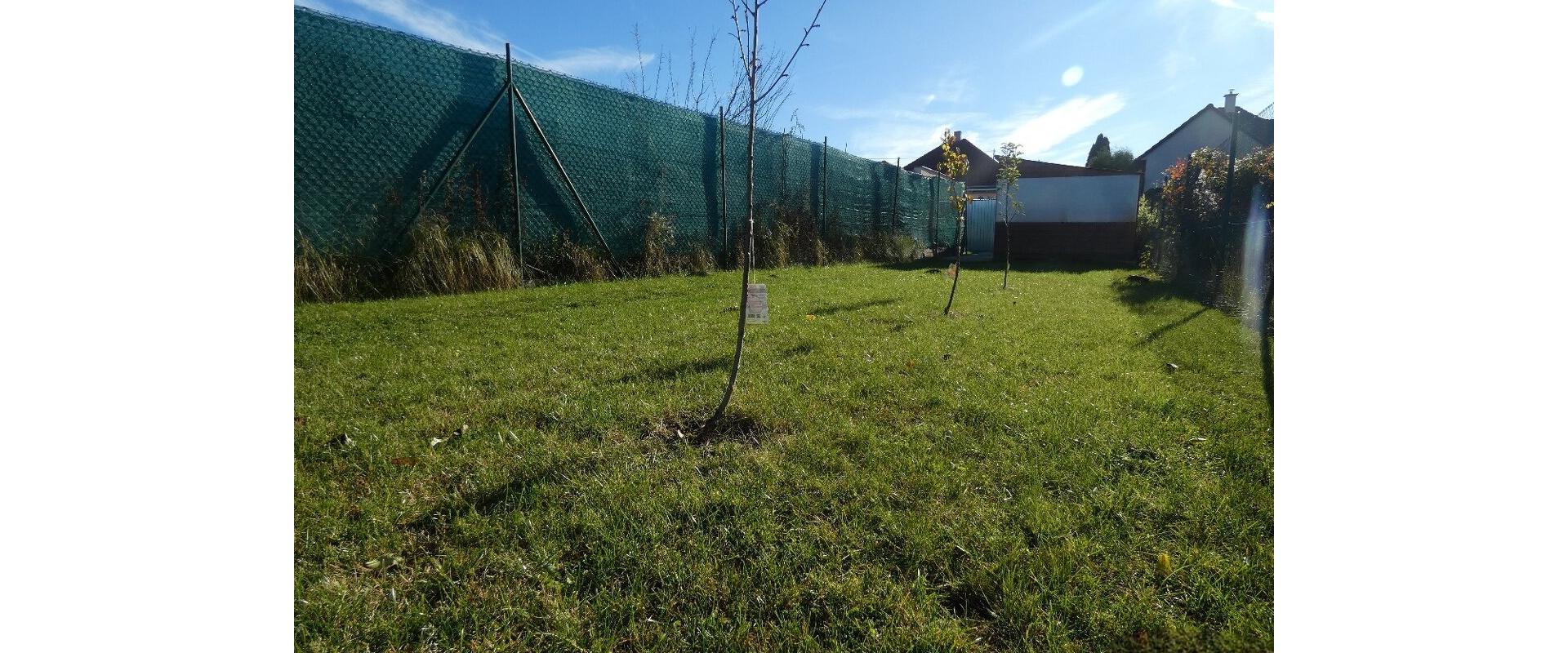 Priestranný 5-izbový rodinný dom po rekonštrukcii – Voderady