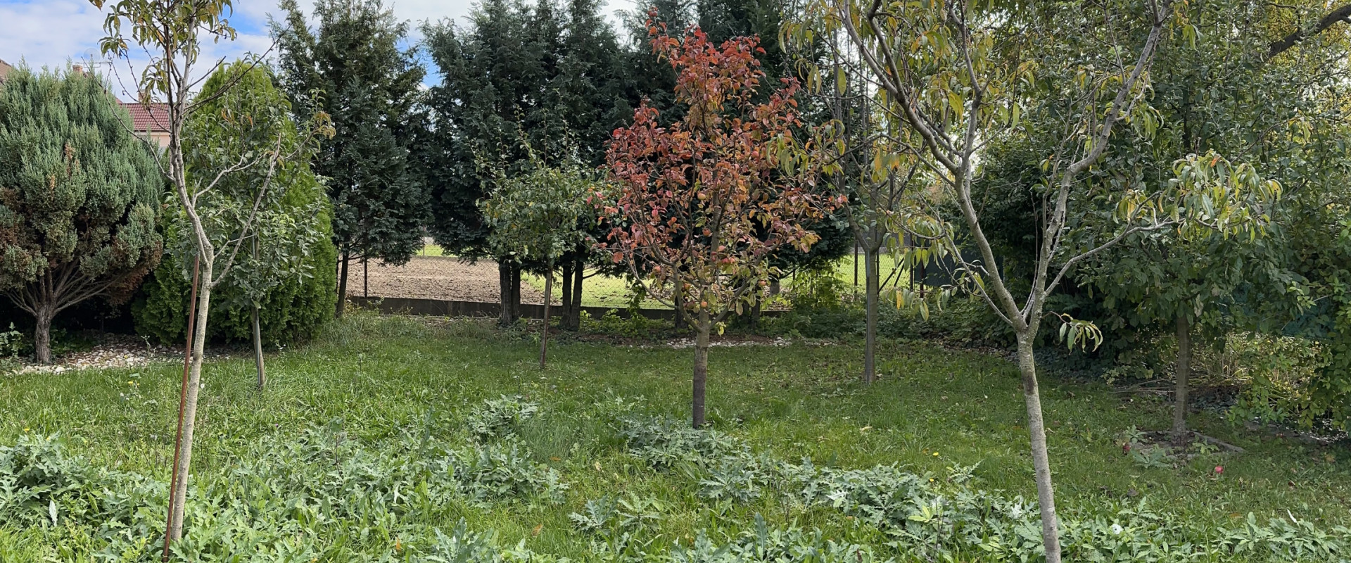 NOVÁ CENA ! Priestranný 5-izbový rodinný dom s dvoma garážami