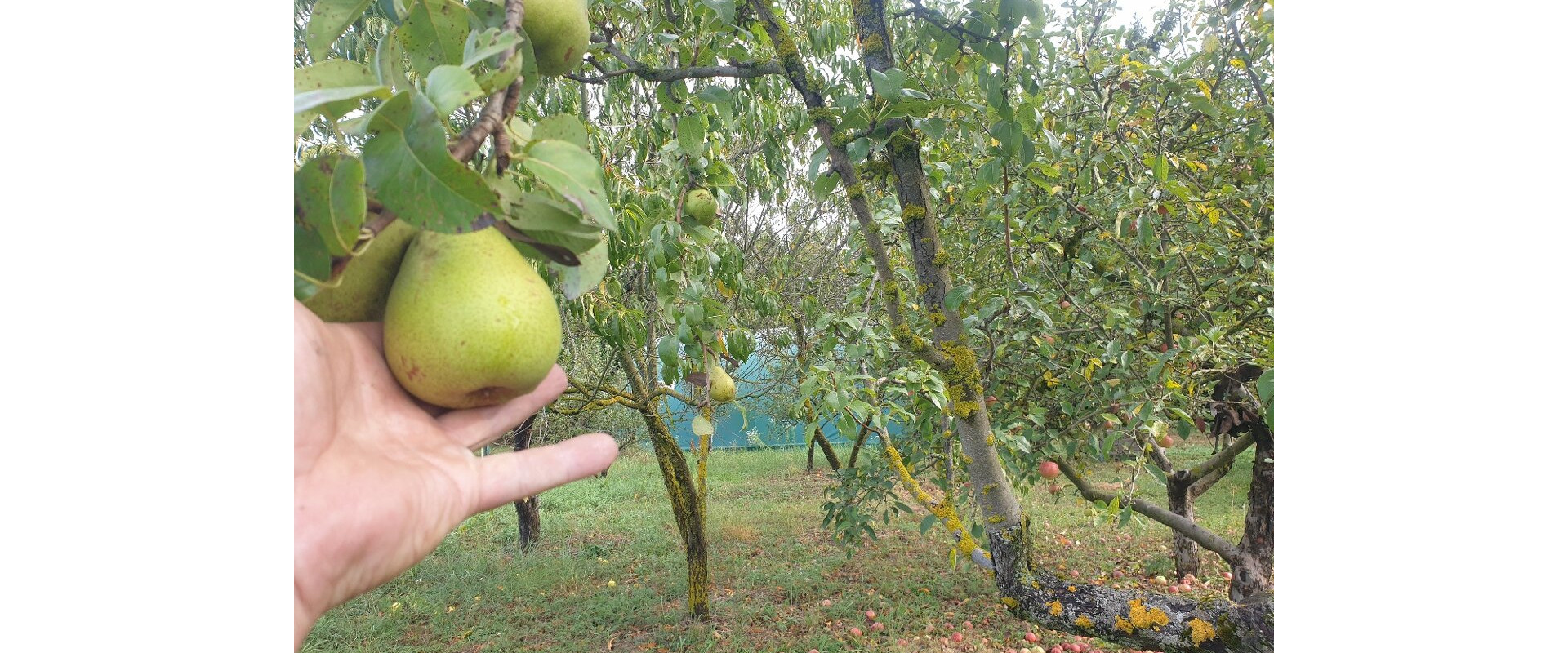 krásny malebný domček Zalaba