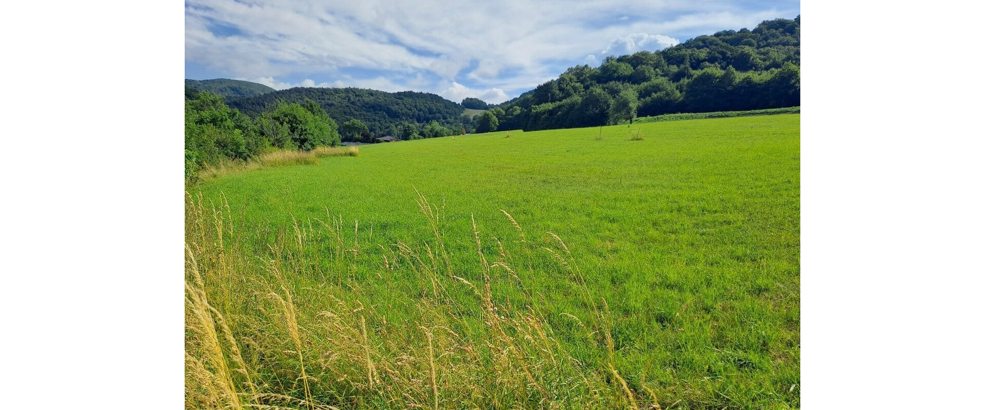 Lukratívny slnečný pozemok v tichej lokalite obce Nimnica