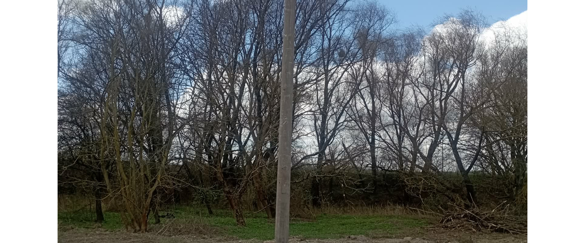 Pozemok 1160m2, Nižná Hutka, ul. Záhradkárská