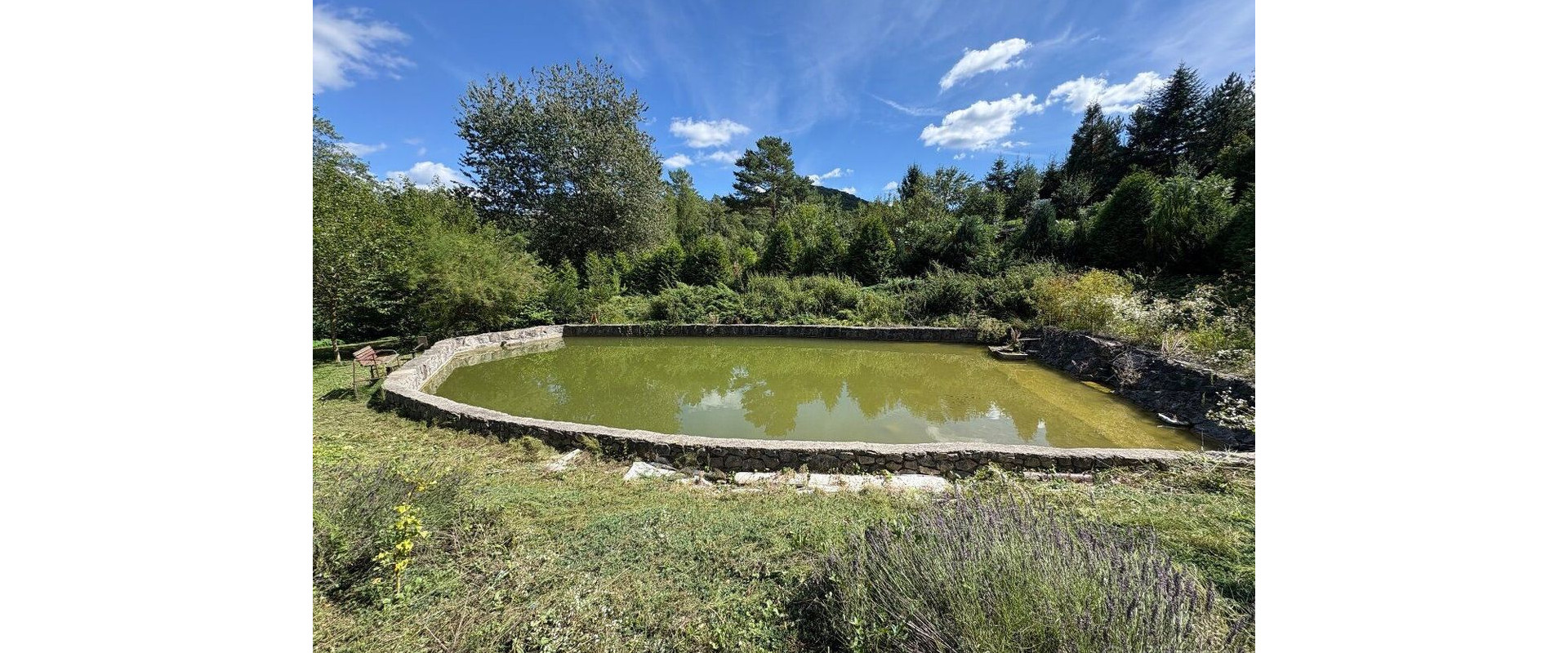 Priestranný pozemok na predaj-Trenčín