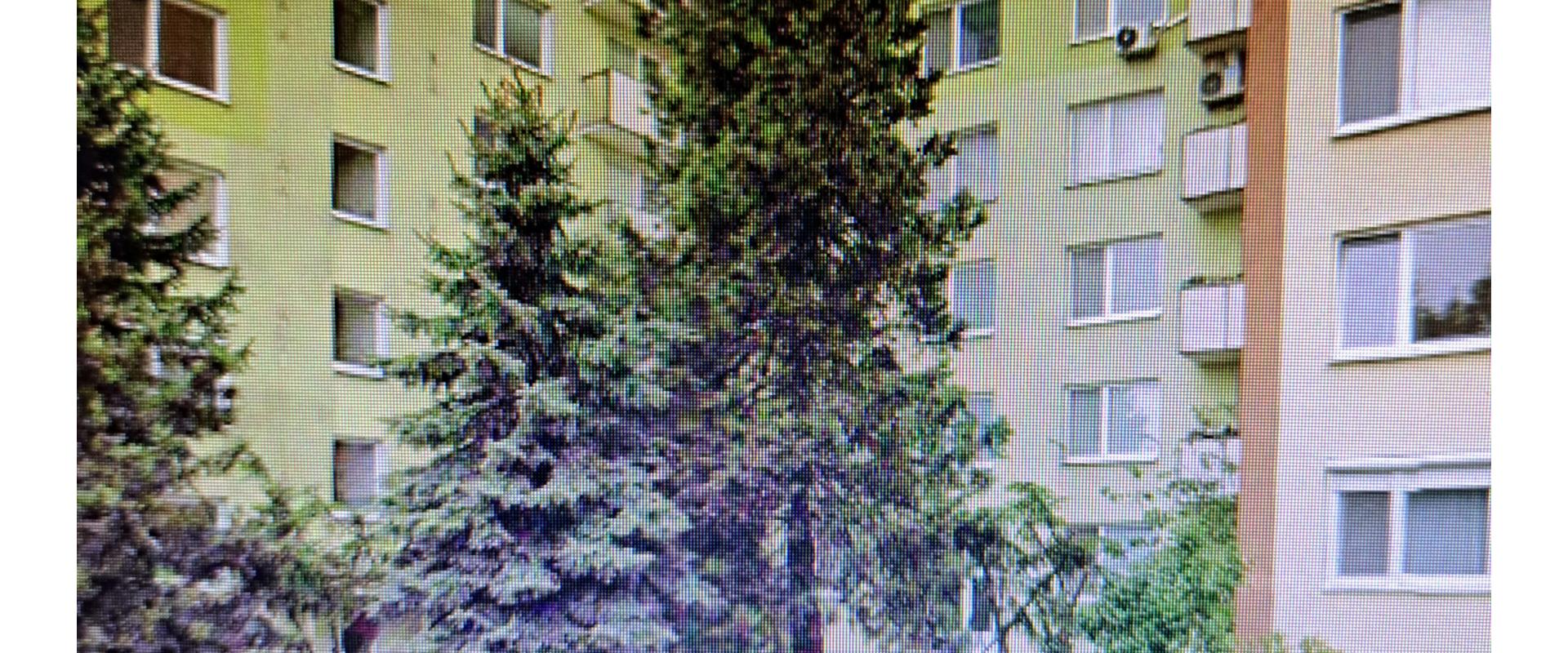 Pekný úsporný 2 izbový byt na predaj v centre Nových Zámkov