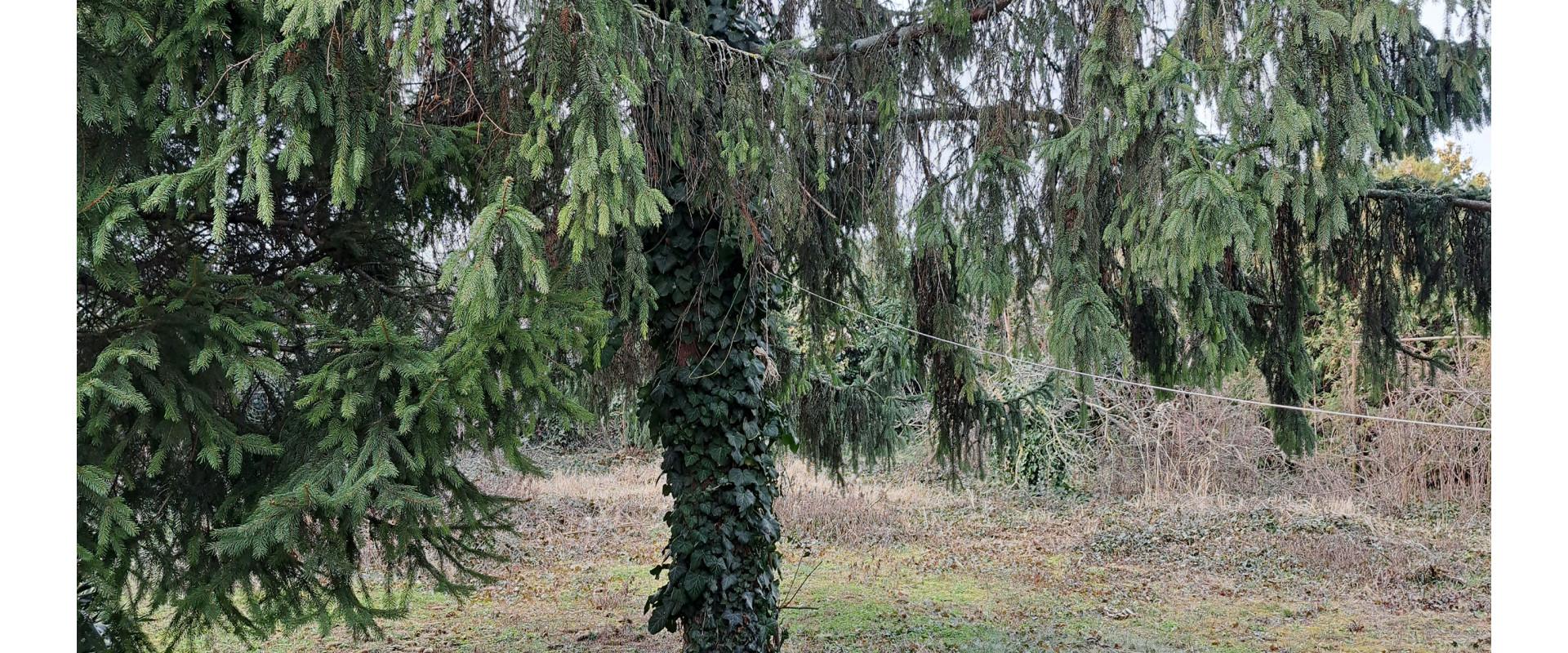 Rodinný dom v centre Dunajskej Stredy s pekným pozemkom